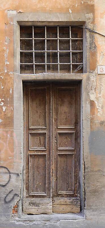 old ruined wood door 1