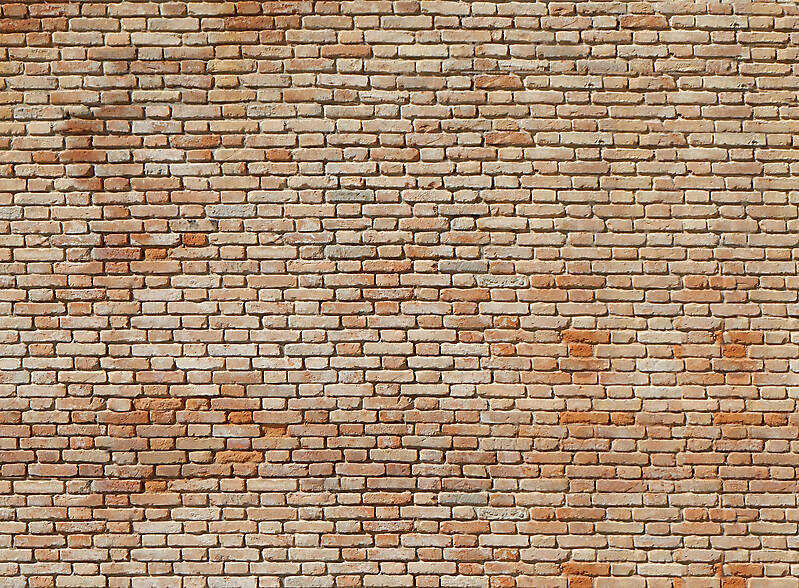 moldy bricks wall venice 31