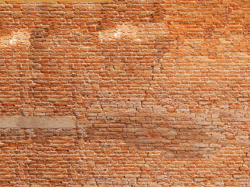 moldy bricks wall venice 33