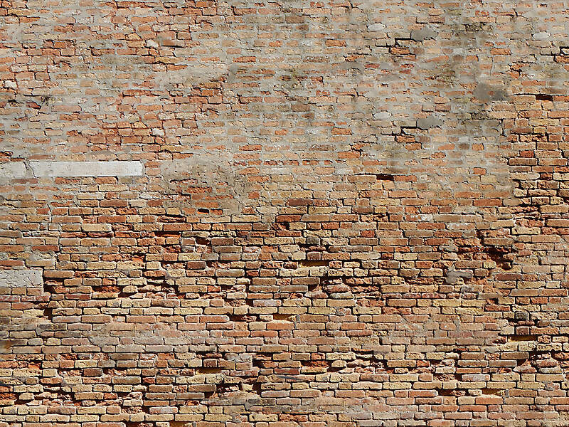 moldy bricks wall venice 22