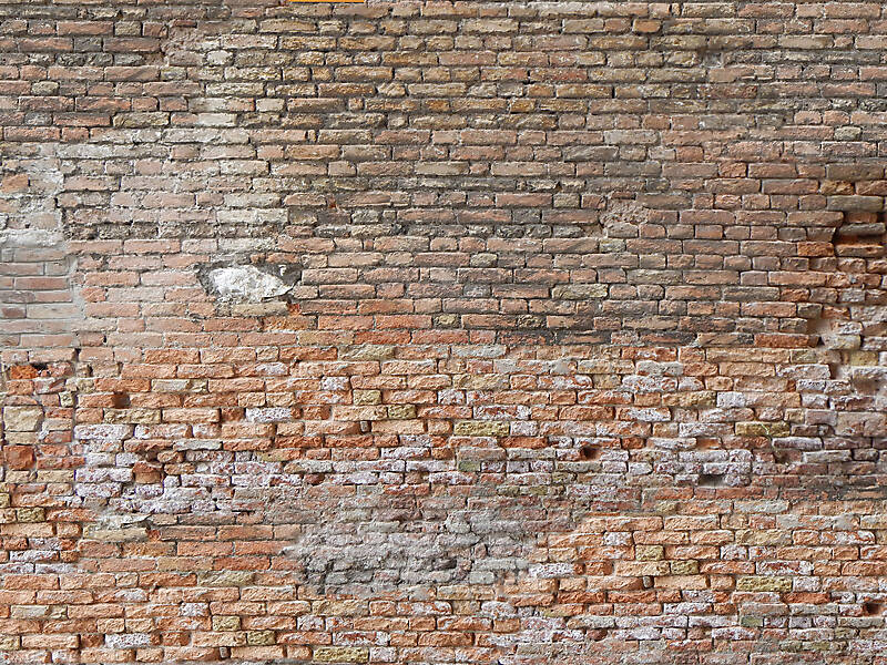 moldy bricks wall venice 14
