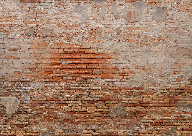 moldy bricks wall venice 15