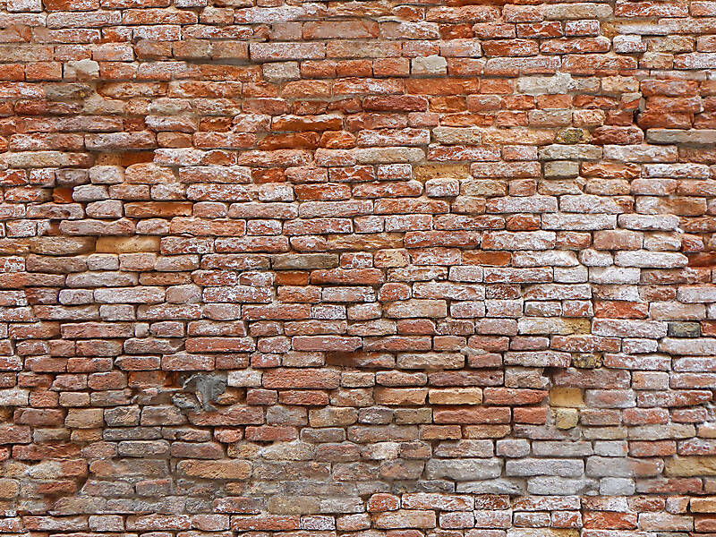 moldy bricks wall venice 18