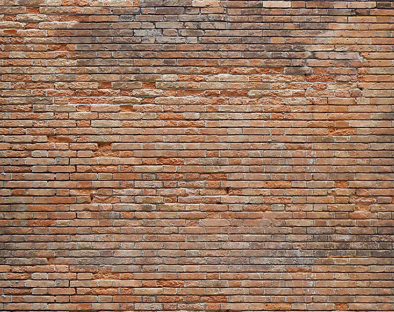 moldy bricks wall venice 19