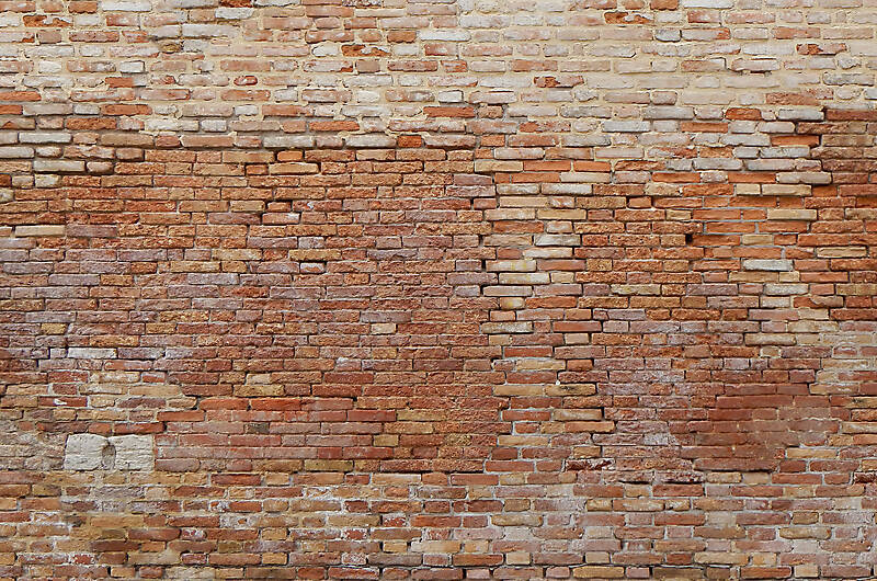 moldy bricks wall venice 5