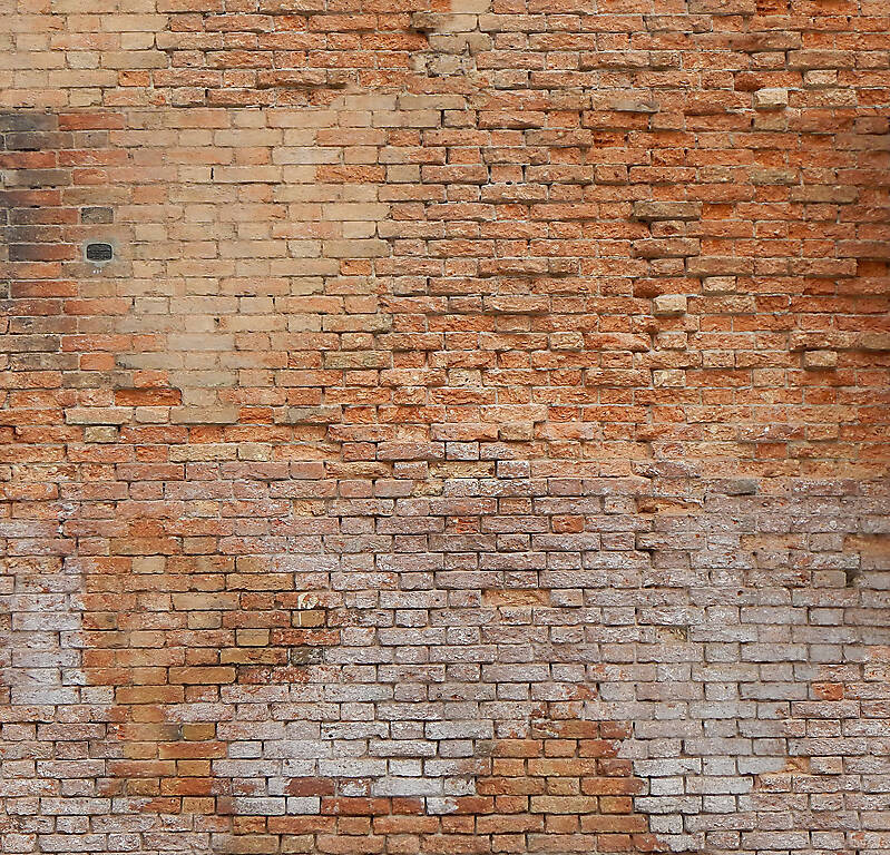 moldy bricks wall venice 12