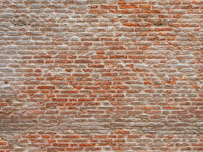 moldy bricks wall venice 2