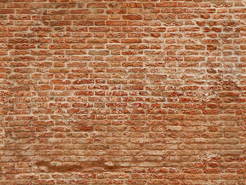 moldy bricks wall venice 3