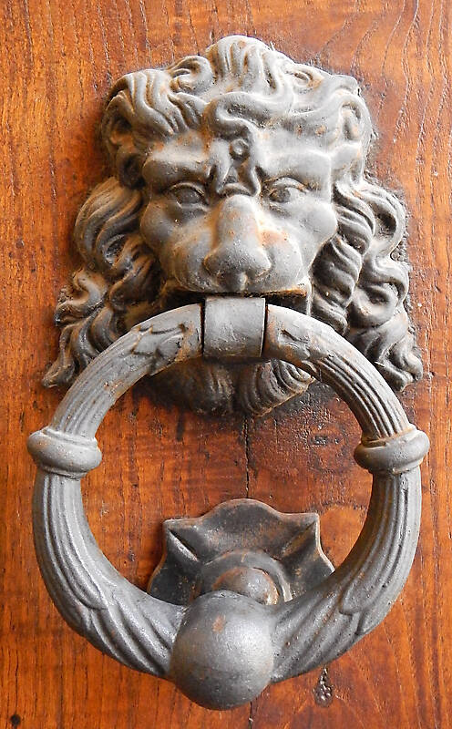 metal door decoration lion
