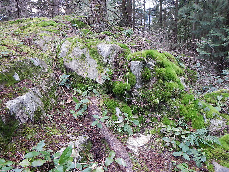 white rock with moss 5