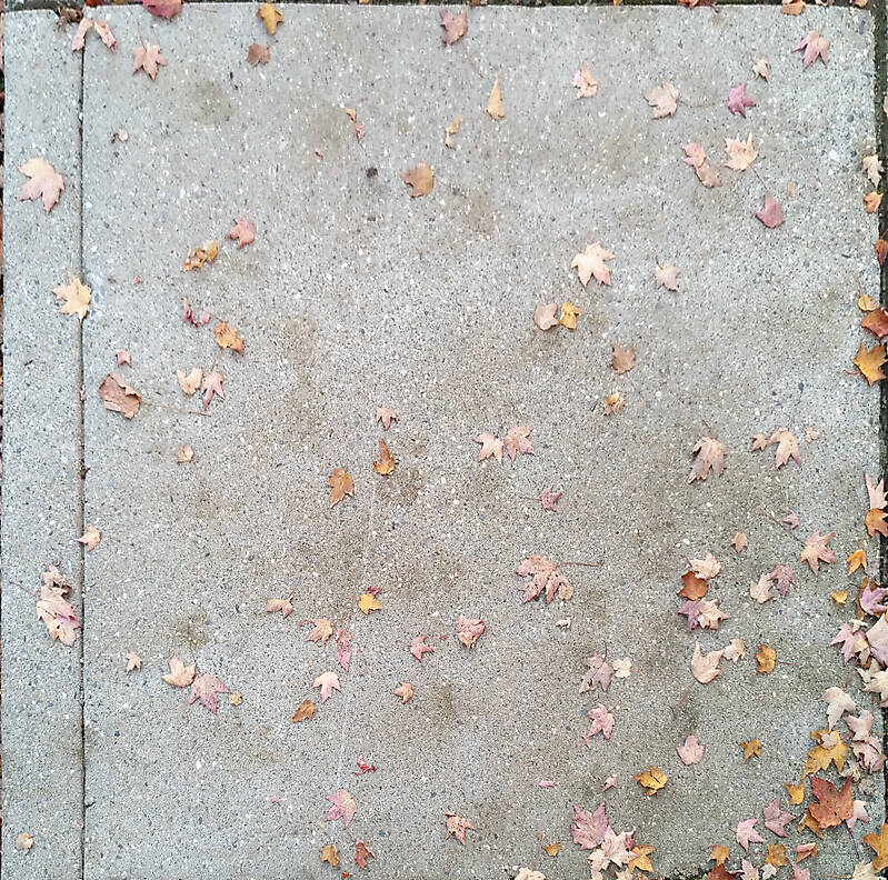 sidewalk with leafs 2