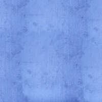 blue carpet moquette