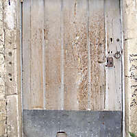 old wood door 3
