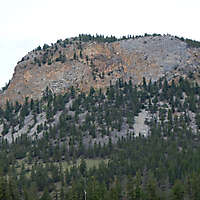 pines tree mountains background 3
