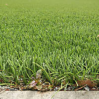 Artificial Grass 3