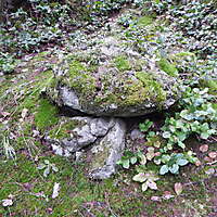 white rock with moss 4