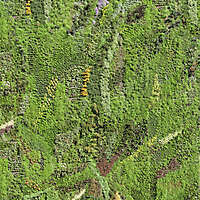 grass panel wall