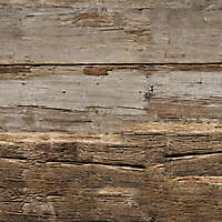 very_old_wood_20120518_1138820781