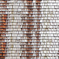 shingles water stains