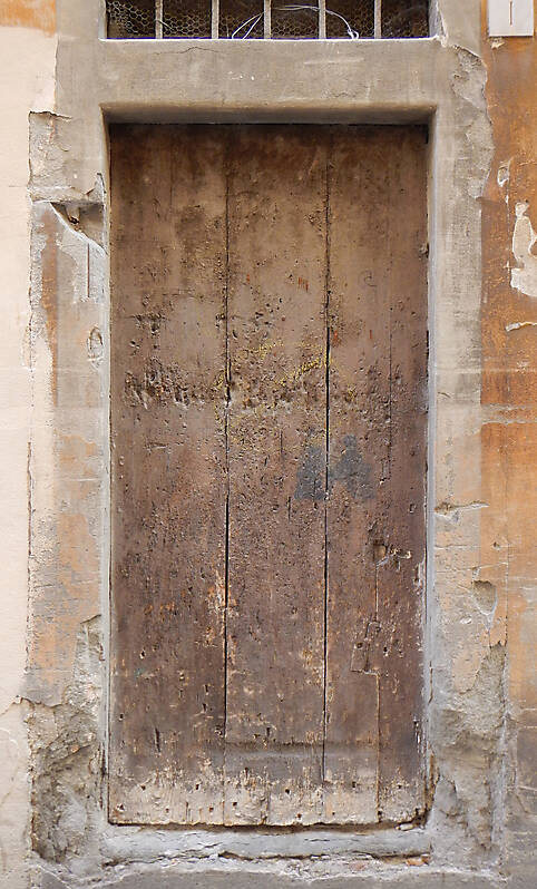 old ruined wood door 2