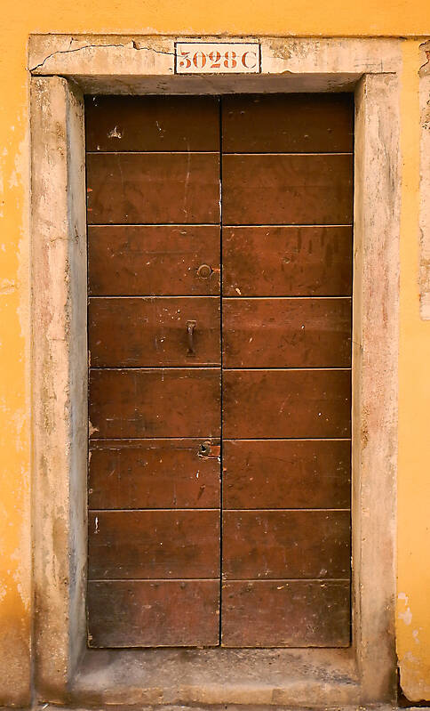 wooden door from venice 24