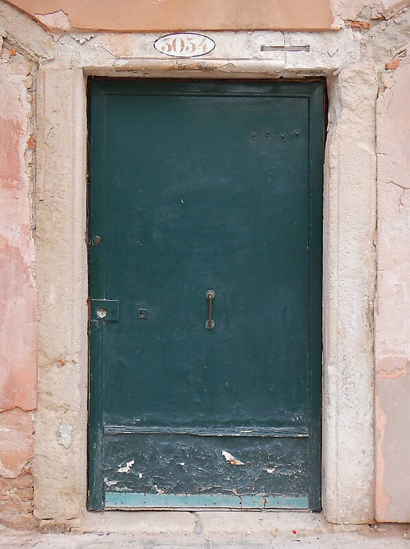 wooden door from venice 21