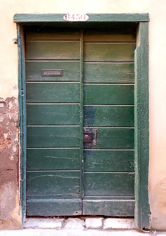 wooden door from venice 39