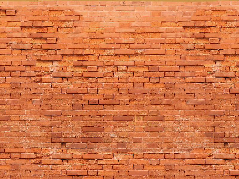 moldy bricks wall venice 29