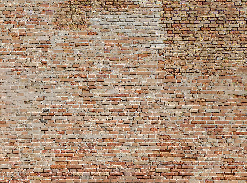 moldy bricks wall venice 30
