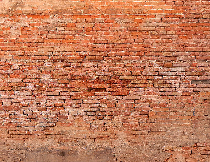 moldy bricks wall venice 34
