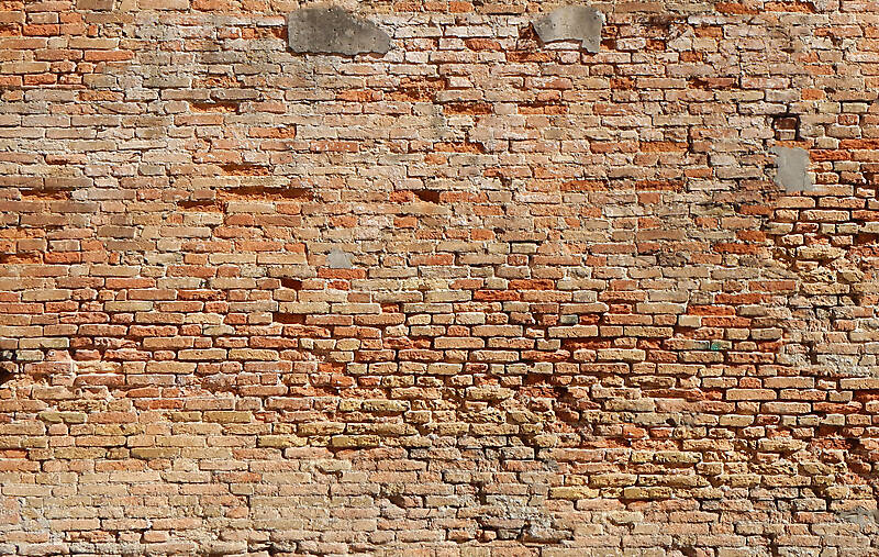 moldy bricks wall venice 21