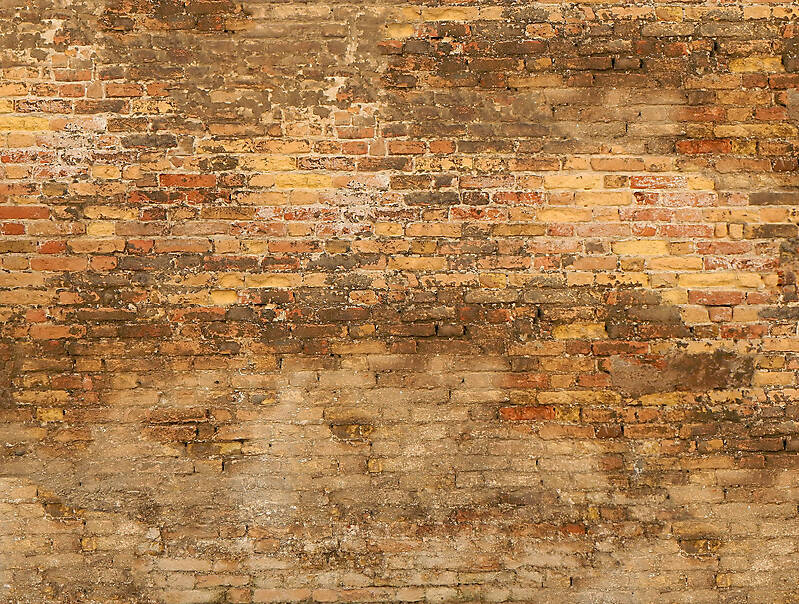 moldy bricks wall venice 23