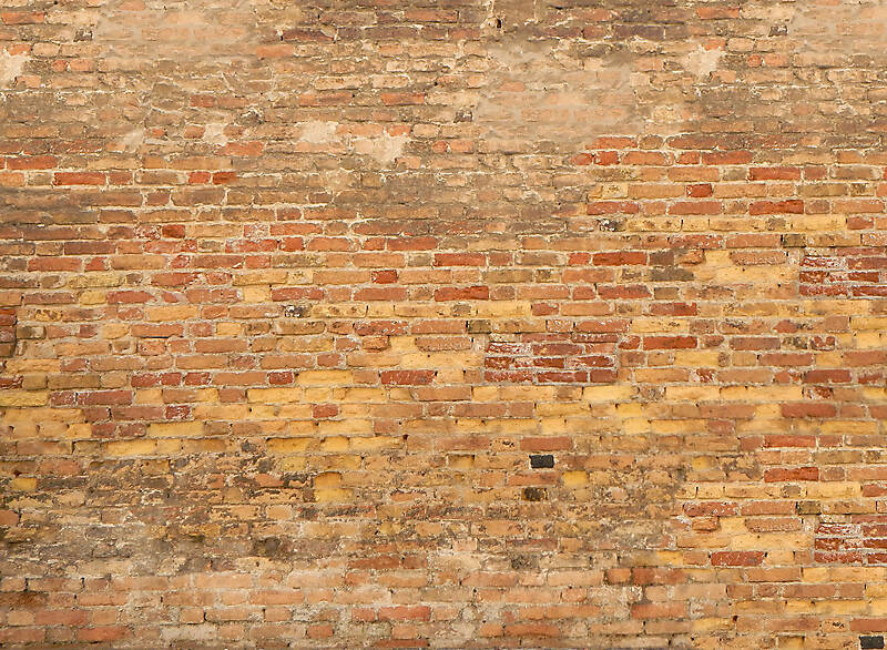 moldy bricks wall venice 24
