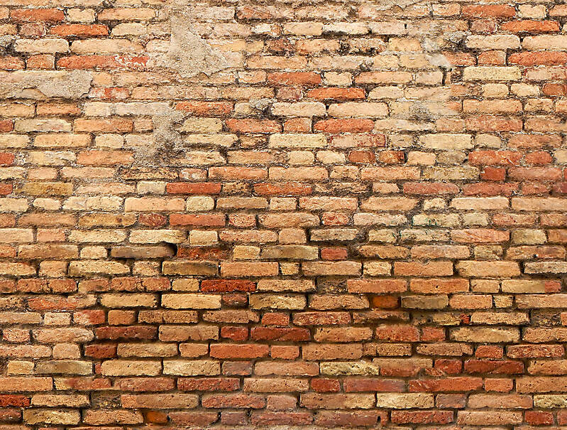 moldy bricks wall venice 25