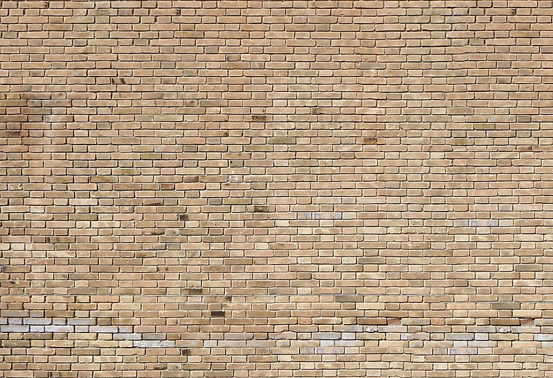 moldy bricks wall venice 27