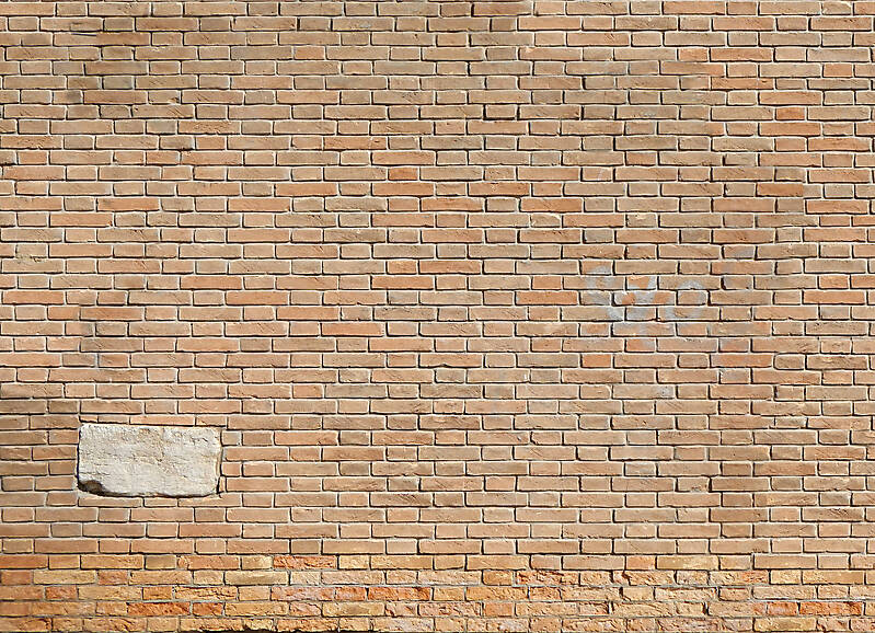 moldy bricks wall venice 28