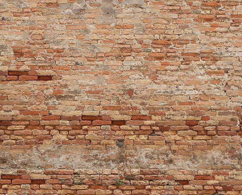 moldy bricks wall venice 16