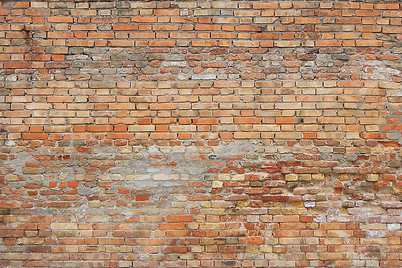 moldy bricks wall venice 17