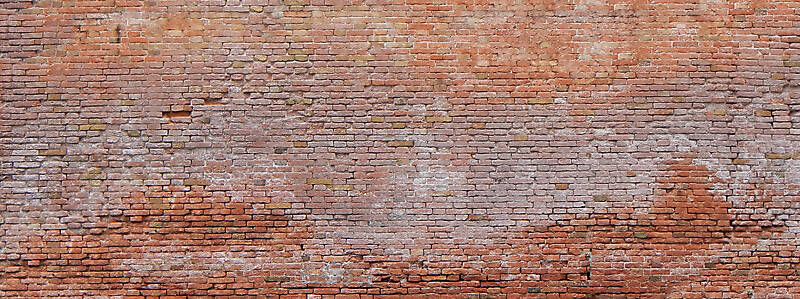 moldy bricks wall venice 6
