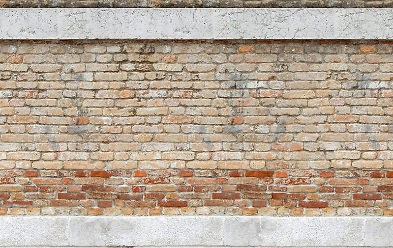 moldy bricks wall venice 8