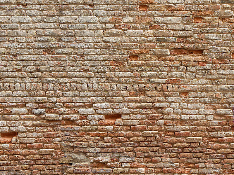 moldy bricks wall venice 10