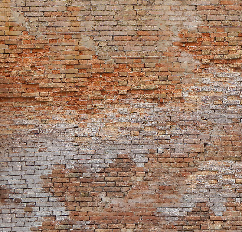 moldy bricks wall venice 11