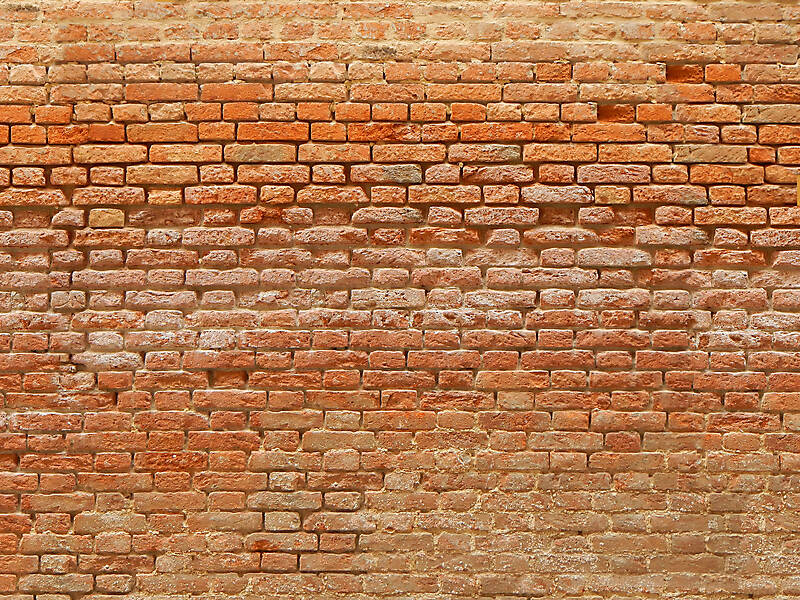moldy bricks wall venice 1