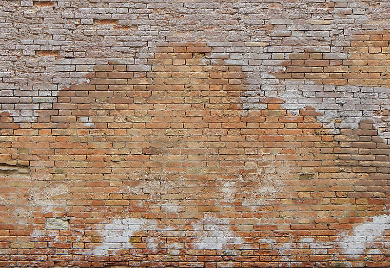 moldy bricks wall venice 4