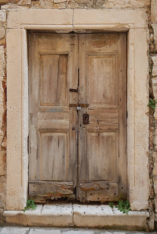 dried wood old door 11