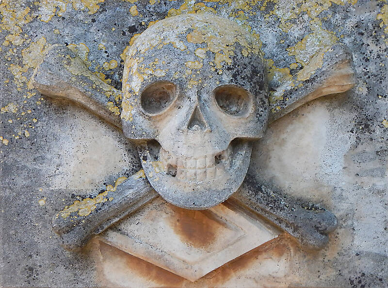 stone skull emblem 65
