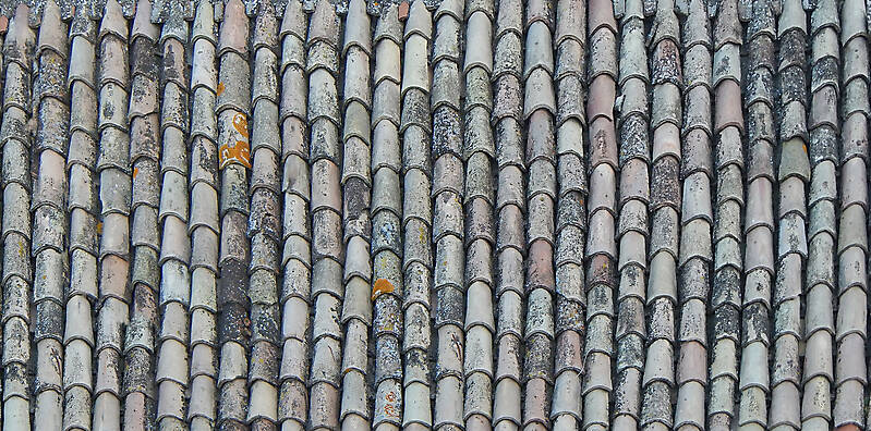 tiles roof old and dirt 3