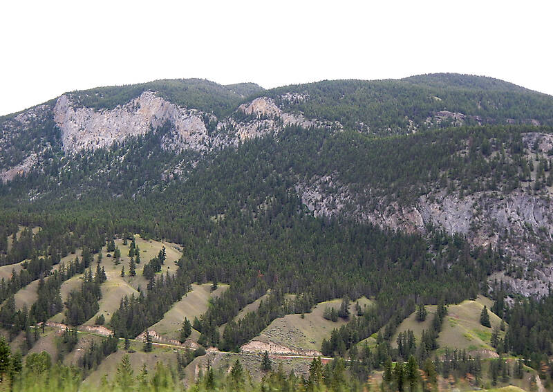 pines tree mountains background 5