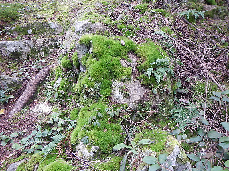 white rock with moss 3