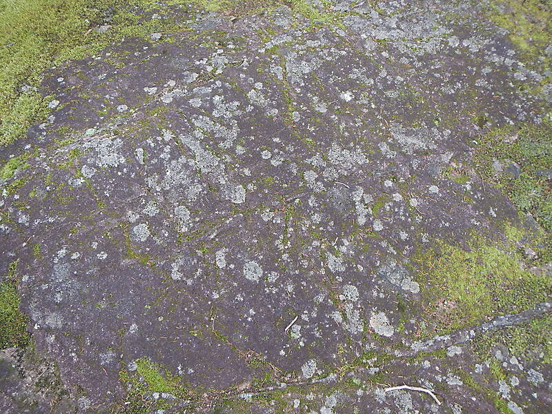 white rock with moss 7